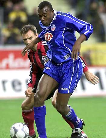 献了无数令 献了无数令